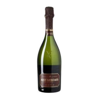 Agustí Torello Brut Nature Gran Reserva